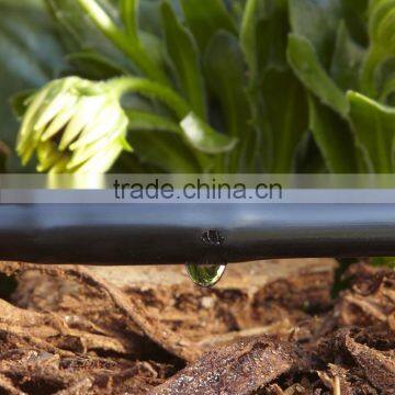 Drip Irrigation Tape Drip Irrigation Pipe photo-2