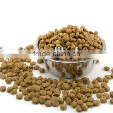 dry cat food