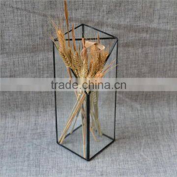 Home DIY Decor Micro Landscape Clear Terrarium Geometric Glass Greenhouse photo-3