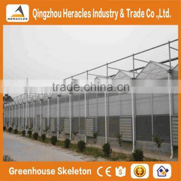 Factory Price Trade Assurance Commercial Professional Used PC Greenhouse for Sale photo-5