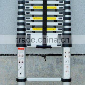 telescopic ladder