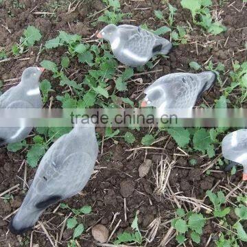PIGEON DECOY BIRD PAINTED SHELL HIGH QUALITY photo-6