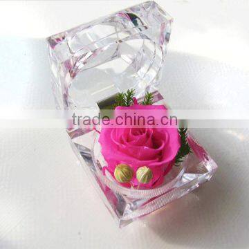 Hot Sale Natural Preserved Fresh Rose Flowers Multicolored Preserved Flower For Wedding Christmas Gift photo-5