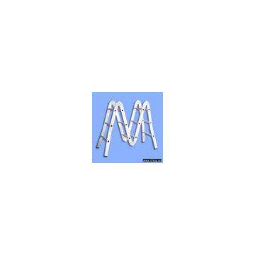 Multipurpose Ladder