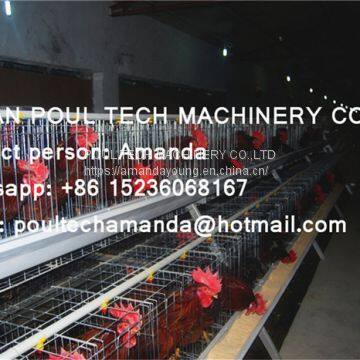 Tanzania Poultry Breeder Farm A Frame Battery Breeder Cage & Female Male Chicken Cage Used in Chicken House