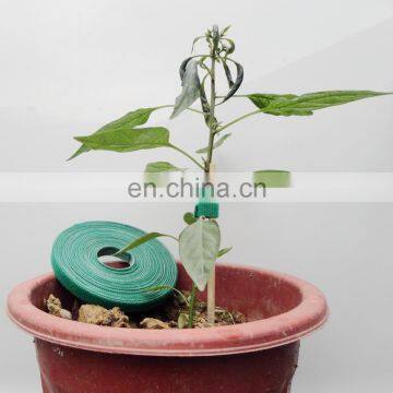 Green Reusable Plant Ties Loop and Hook Ties photo-4