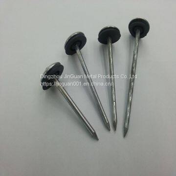 galvanized roofing nails/umbrella head roofing nail