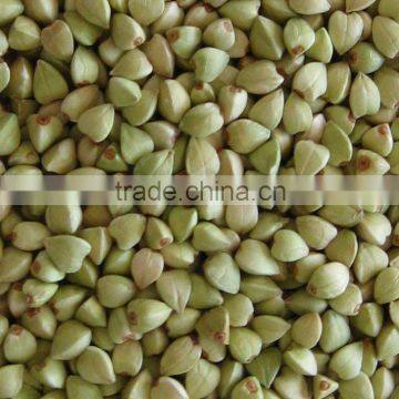 organic buckwheat kernel