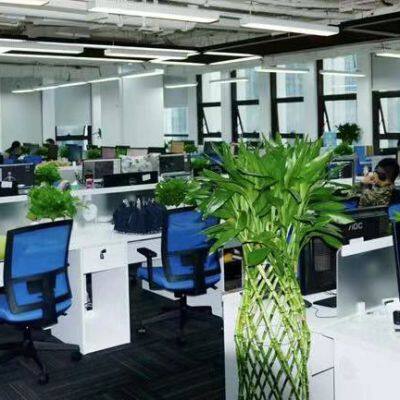 Yiwu Jinyuan E-commerce Firm Wechat:zhang158400 Whatsapp:+86 15840017045 company overview - view 2