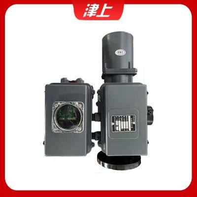 Bernard Angle Stroke Electric Actuator AS-25/F30H photo-2