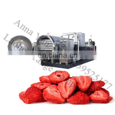 lyophilizer freeze drying machine for freeze dried acai powder jackfruit cherries