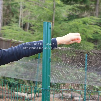 Extruded Green Anti Bird Net for Agricultural /Anti-Bird Net