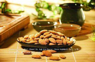 Manufacturer Supply High Quality CAS 8007-69-0 Almond Oil photo-4