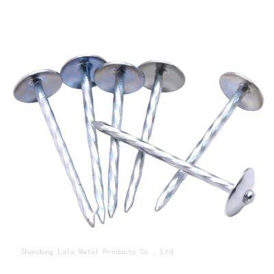 Africa Umbrella Head With Roofing Nails Galvanize Umbrella Head Roofing Nails photo-5