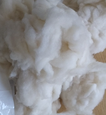 We Import Washed and Carded Cashmere Noils