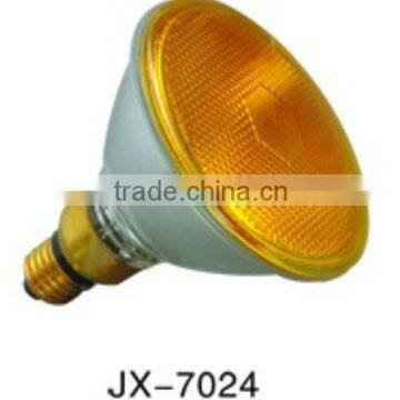 Fujian bulbs with good quality and lower price