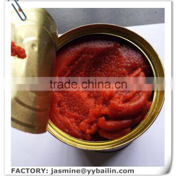 OEM High quality canned tomato paste exporter factory with cheap price