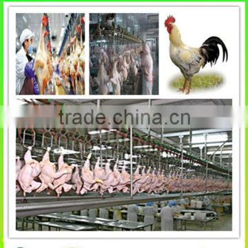 Automatic poultry slaughter processing line/ Chicken slaughtering houes/Chicken slaughter line