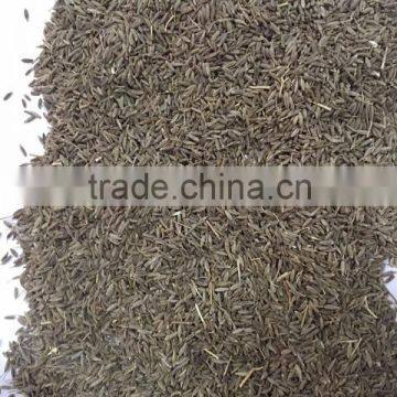 Cumin Seeds