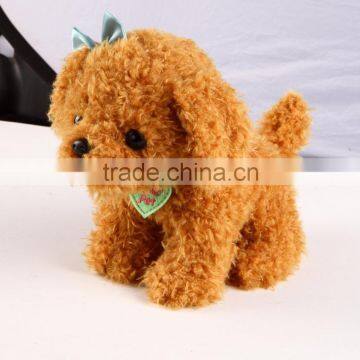 Brown Cute Dog