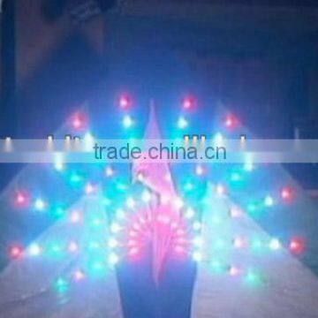 Led Light Kite