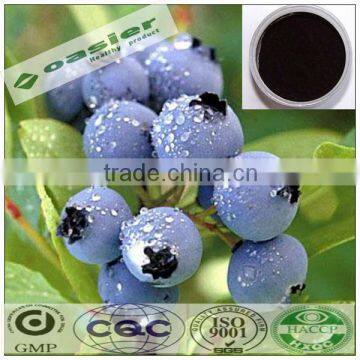 Natural organic bilberry extract from GMP Manufacturer