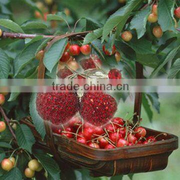 Top Sale Jewellery Cherry USB For Promotion