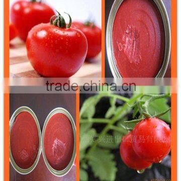 198g canned fresh tomato sauce 28-30% of competive price