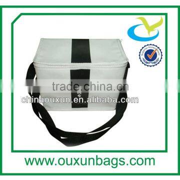 Insulating effect bulk solar cooler bag