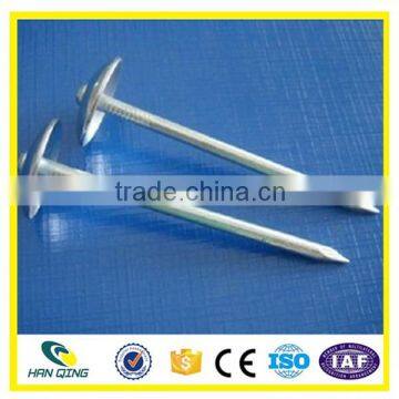 Hanqing Roofing Nail with umbrella head export to India