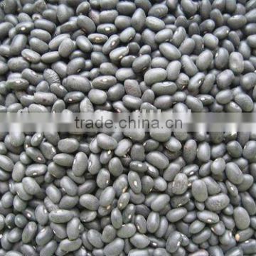 black speckled kidney beans