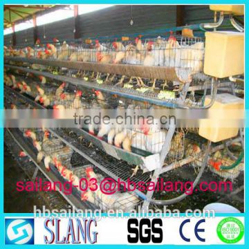 High quality automatic poultry cage chicken layer cage price for farm