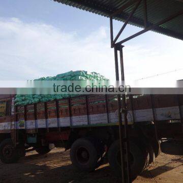 Coconut Rate Today photo-2