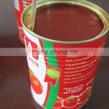 Chinese 28%-30% brix Canned Tomato Paste