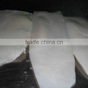 frozen giant squid fillet