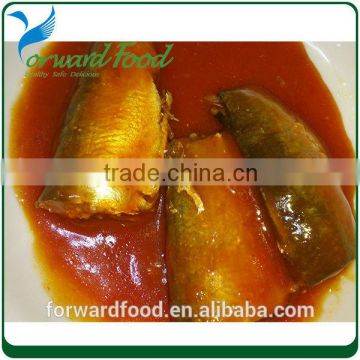 Can Food Sardines In Tomato Sauce yummy healthy seafood