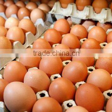 Fresh Farm Brown Table Chicken Eggs