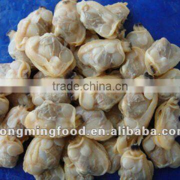 Boiledclam meat