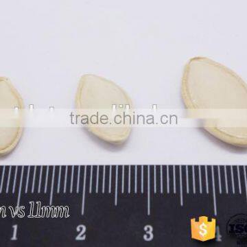 Grade AA Shine skin wholesale pumpkin seeds price