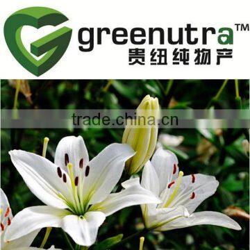 Lily Bulb Extract