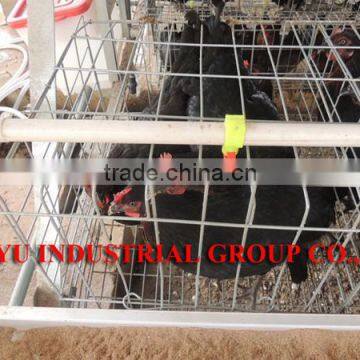 TAIYU Egg Cage for Egg Laying Chicken Poultry Farm