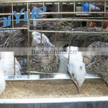 High Quality Quail Cage For Sale
