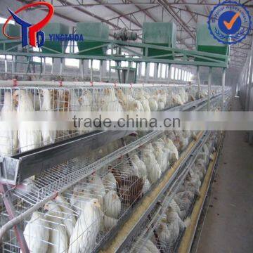 Chicken Cage South Africa photo-6