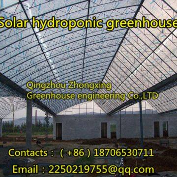 Zhongxing Greenhouse Engineering Co.,Ltd