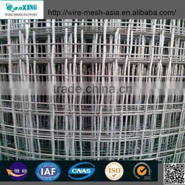 Search Competitive Price galvanized/pvc coated Welded Wire Mesh(ISO9001 factory)