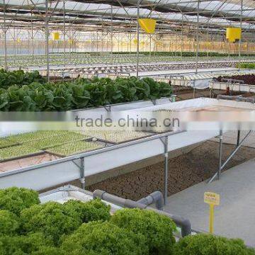 Greenhouse for Agriculture Hydroponics