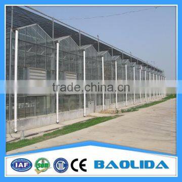Glass Agricultural Greenhouse Used For Vegetables/fruits photo-3