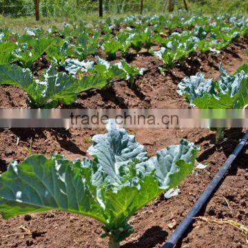 High Quality PE Material Drip Irrigation Pipe With 16mm Diameter