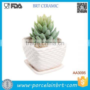 Wavy Coil Surface With Saucer Planter Ceramic Succulent Pots