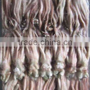 Squid Tentacles For Sale With Well Price
